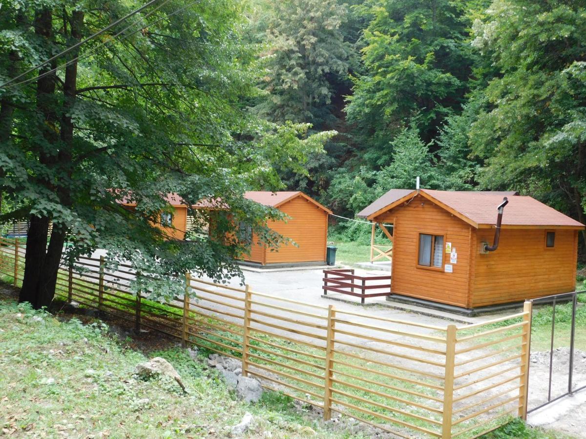 Sound Of Nature Tismana Exterior foto
