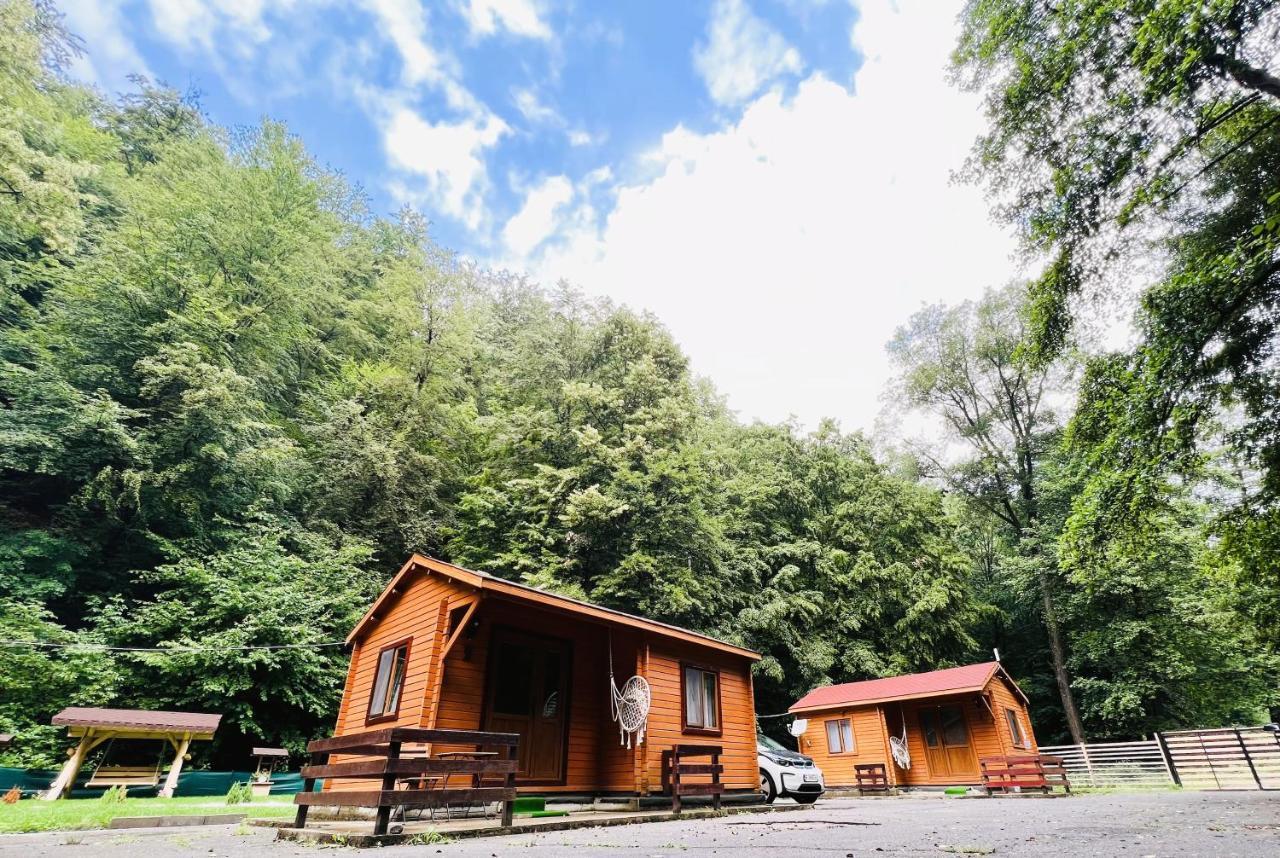 Sound Of Nature Tismana Exterior foto