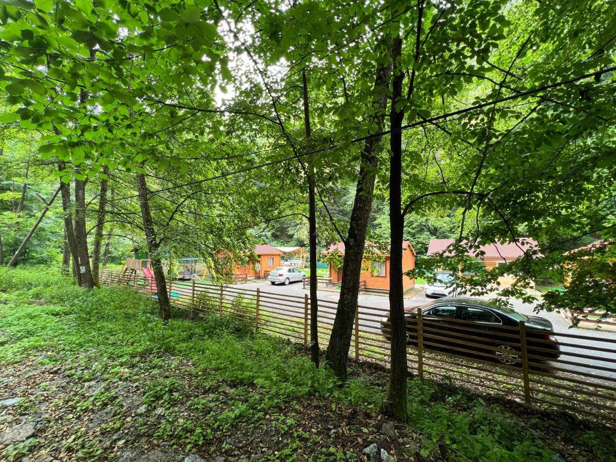 Sound Of Nature Tismana Exterior foto