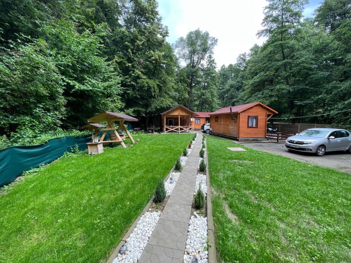 Sound Of Nature Tismana Exterior foto